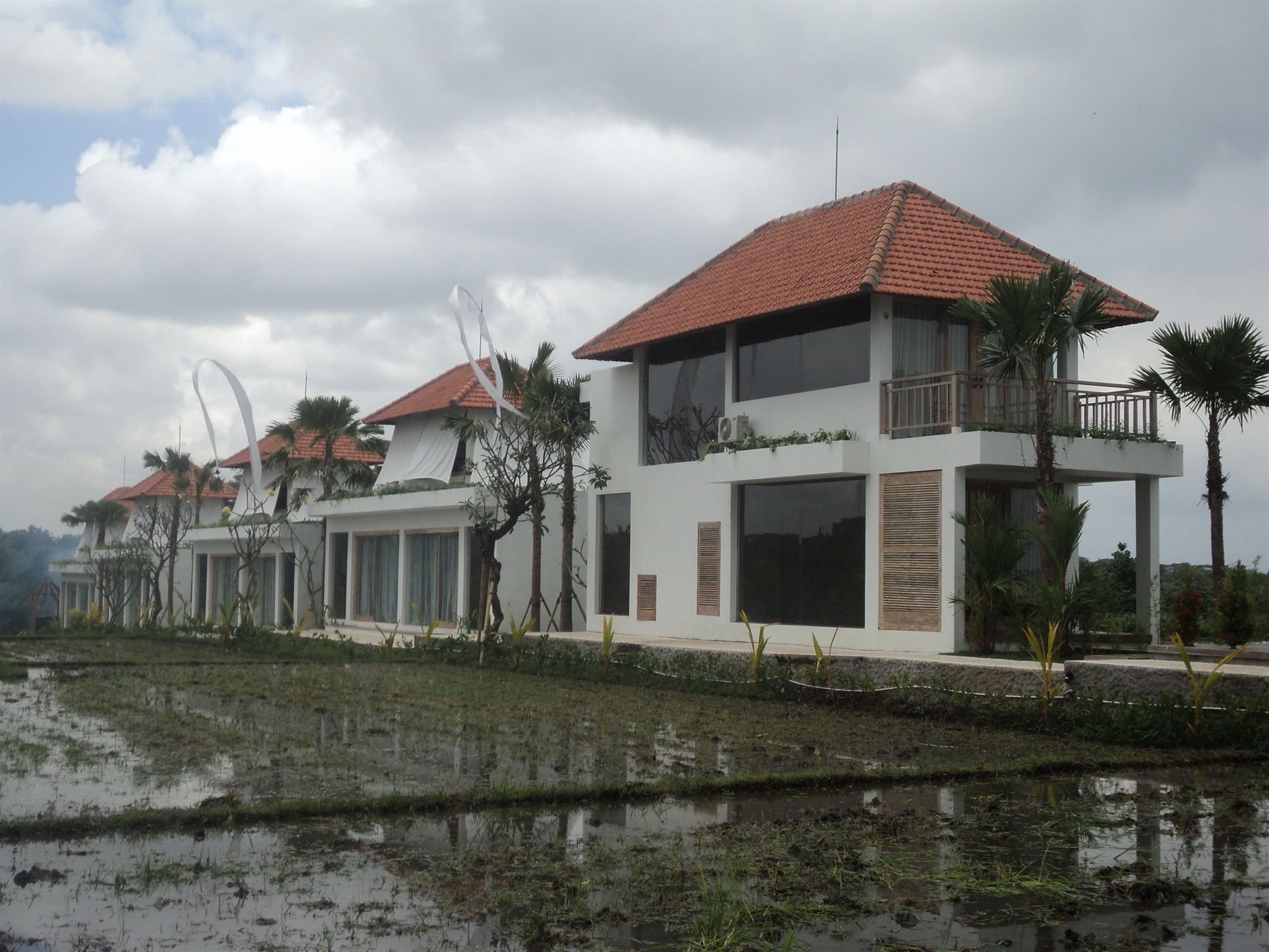 D'Sawah Villa Umalas Canggu  Bagian luar foto